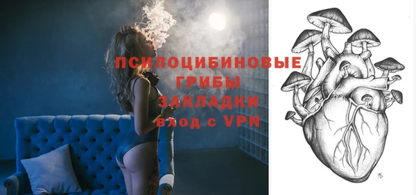 индика Алзамай
