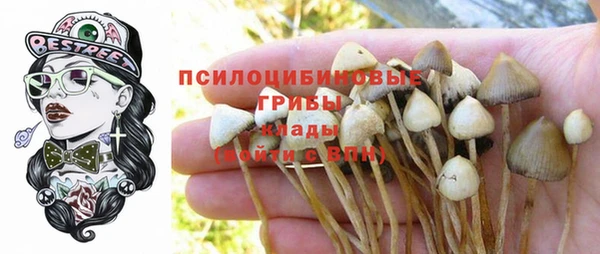 индика Алзамай