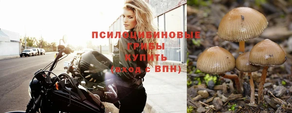 дживик Абаза